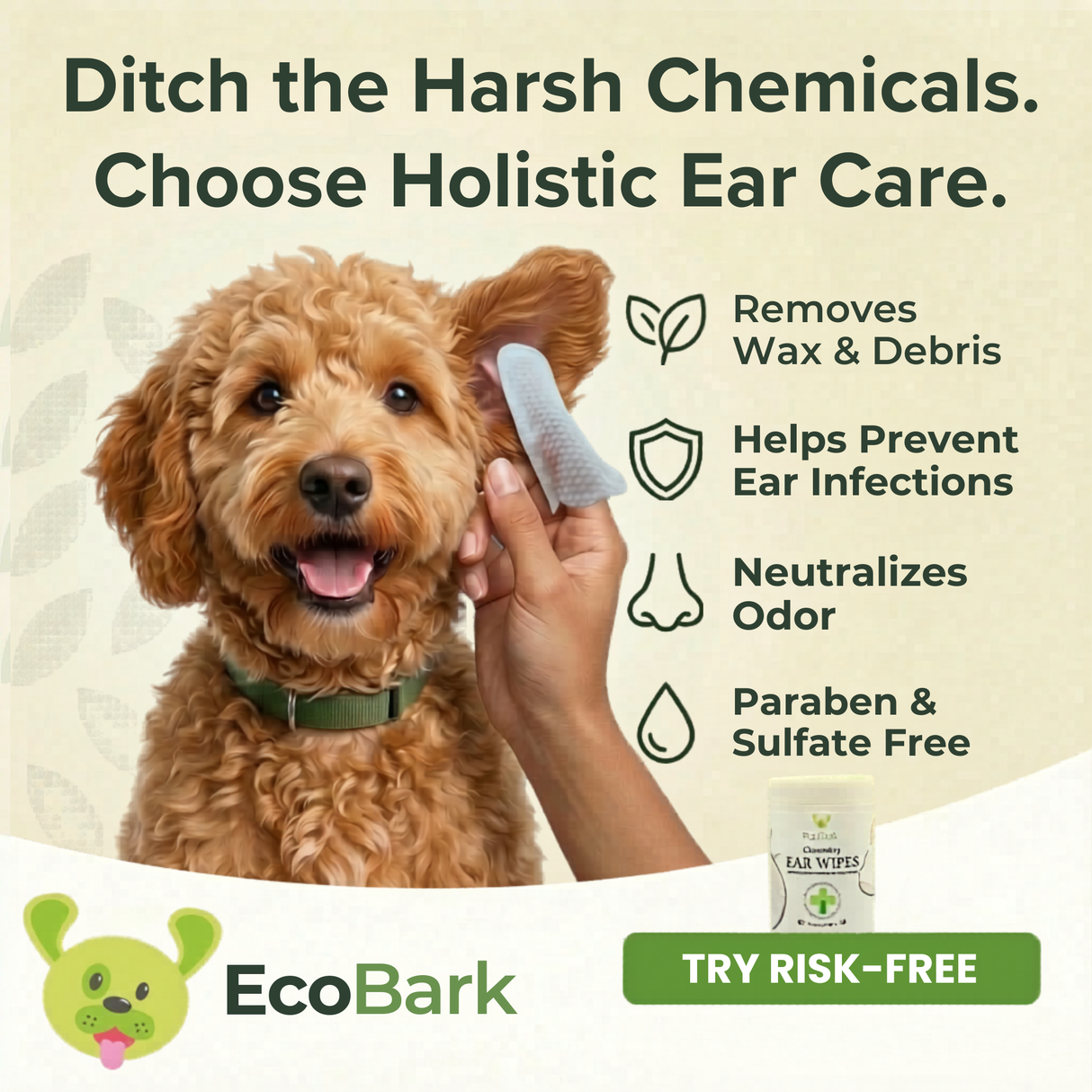 A happy golden doodle dog being groomed with an EcoBark natural ear wipe. The image includes text highlighting benefits: Removes Wax & Debris, Helps Prevent Ear Infections, Neutralizes Odor, and Paraben & Sulfate Free.
