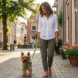 EcoBark Step In Dog Harness - XXXS to Small Breeds- Reflective Soft Mesh Harness for Teacup, Small Dogs and Puppies / Neon Green Sport