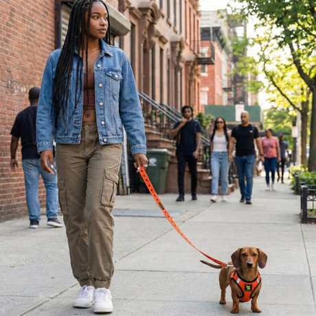 EcoBark Safety Orange Dog Leash- Padded Comfort Grip Leash with Dog Pattern - 4ft, 5ft, and 6ft Leash for Small and Medium Dogs