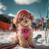 EcoBark Teacup Dog Harness - Step In Soft Mesh Reflective Dog Vest Halter for XXXS to Small Dogs and Puppies