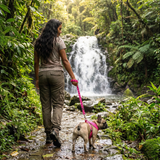 EcoBark Pink Dog Harness - Over-the-Head Soft Mesh Dog Vest Halter for Small to Medium Dogs and Puppies