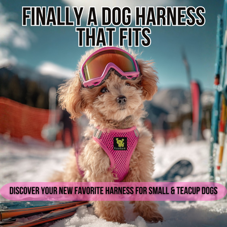 EcoBark Teacup Dog Harness - Step In Soft Mesh Reflective Dog Vest Halter for XXXS to Small Dogs and Puppies