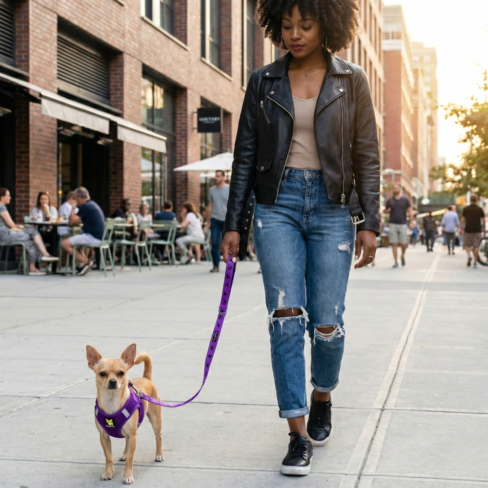 Step In Dog Harness & Leash Set - For Teacup & Small Dogs