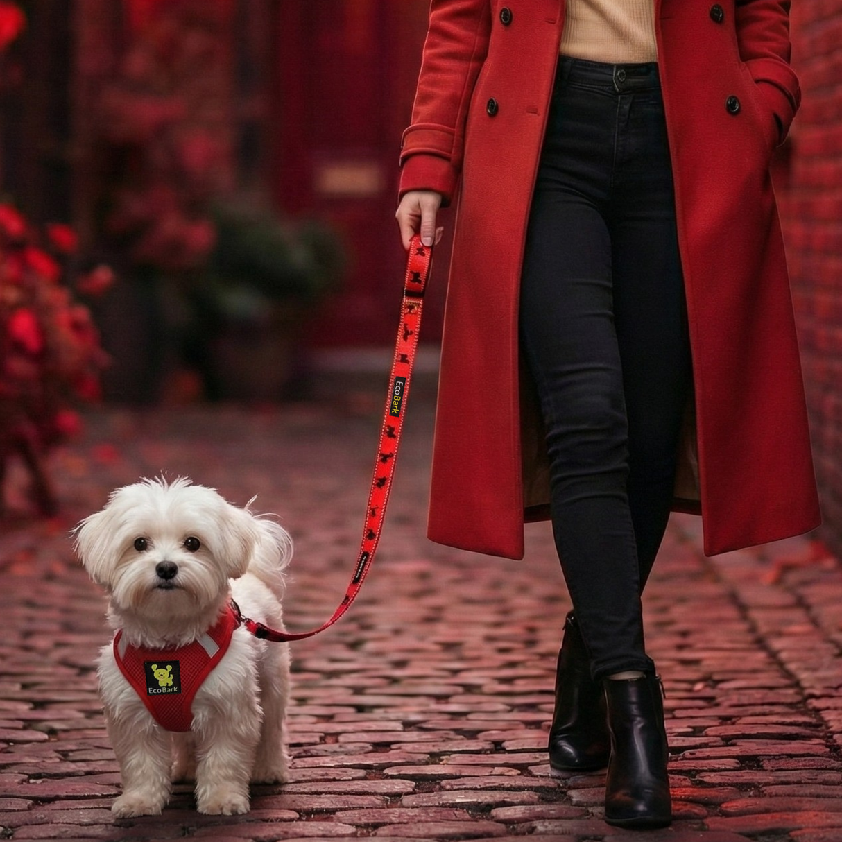 A small 10 lb white dog wearing a red EcoBark mesh step-in dog harness and matching leash, being walked by a female in a red coat on a cobblestone street.