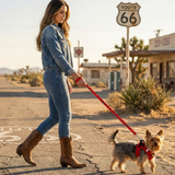 A xxs Yorkshire Terrier wearing a red EcoBark teacup mesh step-in dog harness and matching leash, being walked by a woman in front of a Route 66 sign in the desert.
