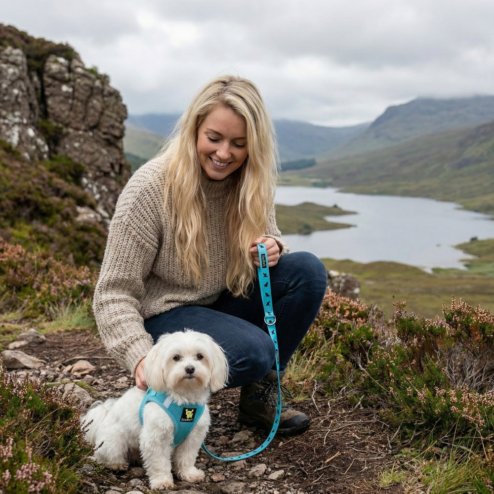 EcoBark Step In Dog Harness - XXXS to Small Breeds- Reflective Soft Mesh Harness for Teacup, Small Dogs and Puppies / Sky Blue