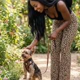 Female petting teacup yorkie in Cheetah Print EcoBark Step-In Dog Harness with Reflective Strips and Soft Breathable Mesh for Small Dogs and Puppies in butterfly garden.