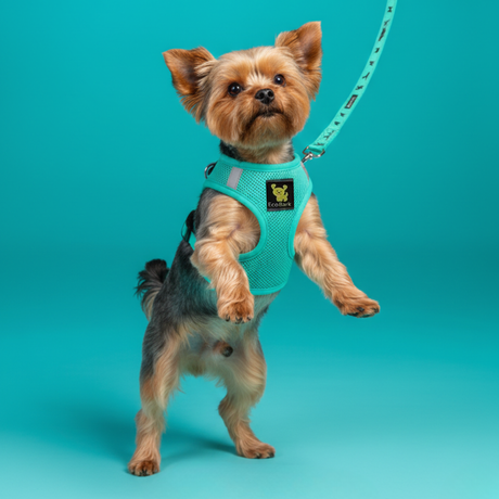 EcoBark Step In Dog Harness - Teacup & Small Breeds- Reflective Soft Mesh Harness for Teacup, Small Dogs and Puppies / Mint Turquoise EcoBark Pet Supplies