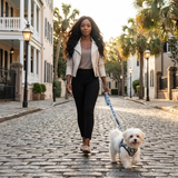 EcoBark Gray Dog Leash- Padded Comfort Grip Leash - 4ft, 5ft, and 6ft Leash for Small and Medium Dogs