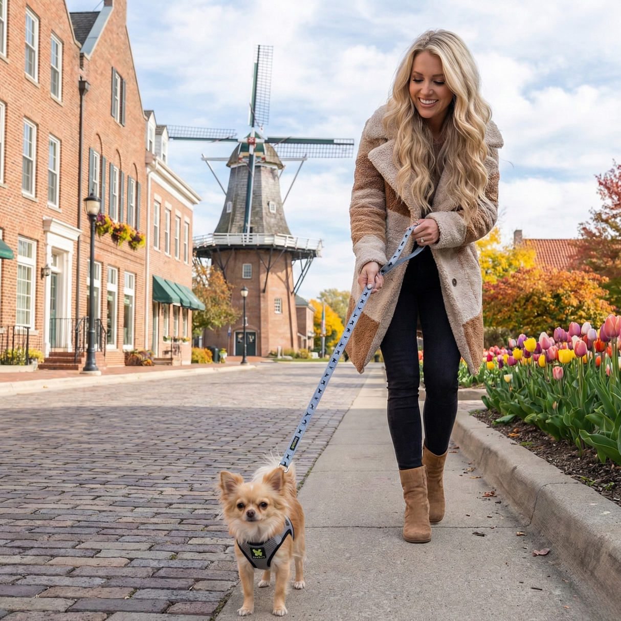 EcoBark Gray Dog Leash- Padded Comfort Grip Leash - 4ft, 5ft, and 6ft Leash for Small and Medium Dogs