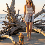 EcoBark Step In Dog Harness - XXXS to Small Breeds- Reflective Soft Mesh Harness for Teacup, Small Dogs and Puppies / Teal