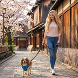 EcoBark Teal Dog Harness - Over-the-Head Soft Mesh Dog Vest Halter for Small to Medium Dogs and Puppies