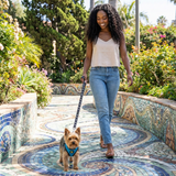 EcoBark Teal Dog Harness - Over-the-Head Soft Mesh Dog Vest Halter for Small to Medium Dogs and Puppies