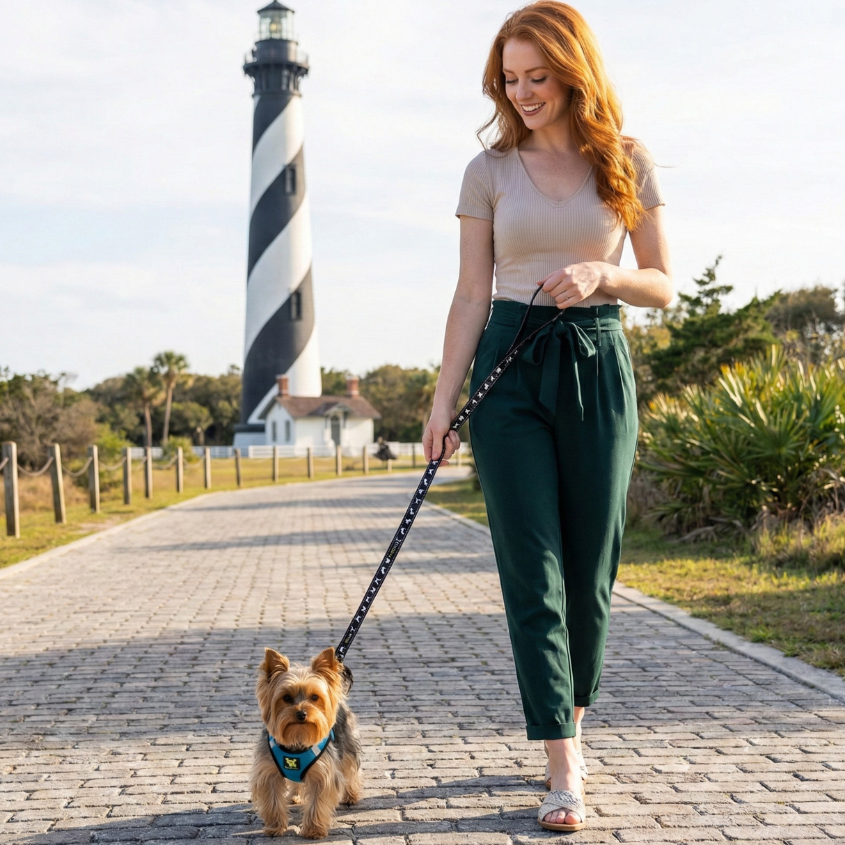 EcoBark Step In Dog Harness - XXXS to Small Breeds- Reflective Soft Mesh Harness for Teacup, Small Dogs and Puppies / Teal