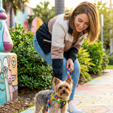 Woman walking a teacup Yorkie in tiey dye dog harness and leash set in an outdoor setting with colorful benches and greenery.