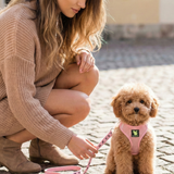 A woman in a brown sweater and boots crouching next to an xxs brown Toy Poodle wearing a Baby Pink EcoBark mesh step-in harness on a cobblestone street.