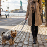 Extra Small Yorkshire Terrier wearing a mesh houndstooth dog harness on a leash held by a woman, with the Statue of Liberty in the background.