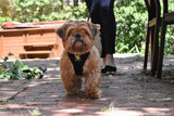 EcoBark Pet Supplies