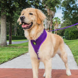 EcoBark Pet Supplies