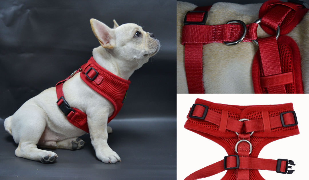 EcoBark Red 3-Pic Comfort-Fit Neck Adjustable Dog Harness