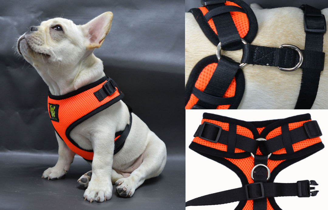 EcoBark Orange 3-Pic Comfort-Fit Neck Adjustable Dog Harness