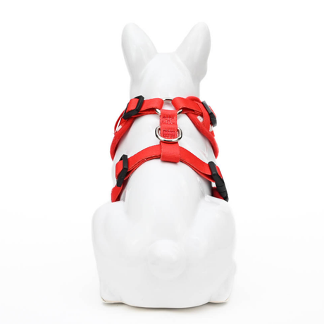 EcoBark Pet Supplies