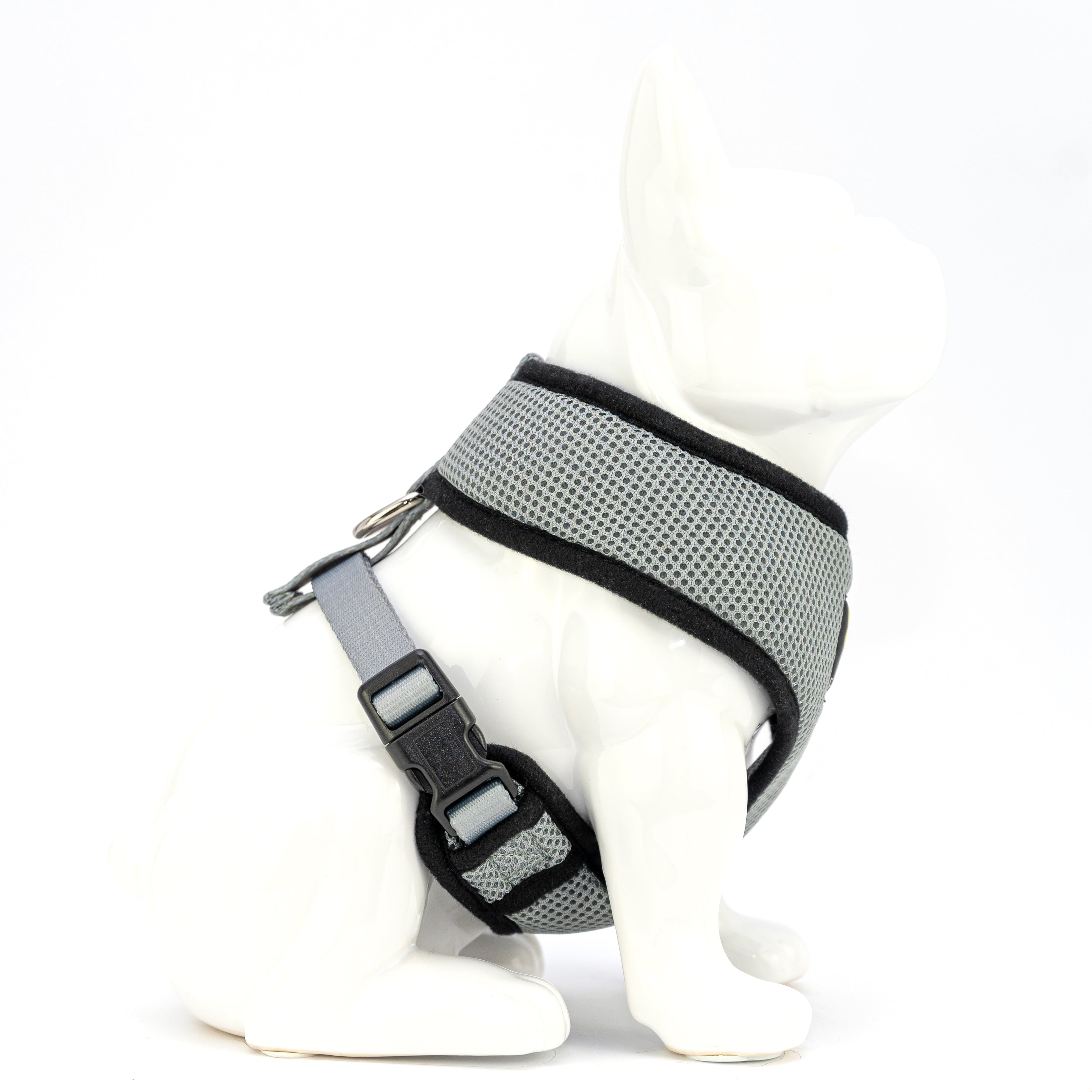 Top paw easy 2024 fit comfort harness