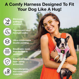 Infographic showing a woman holding a French Bulldog wearing a Baby Pink EcoBark mesh dog harness, highlighting features like no-choke design, reflective bands, double padding, and eco-friendly materials.