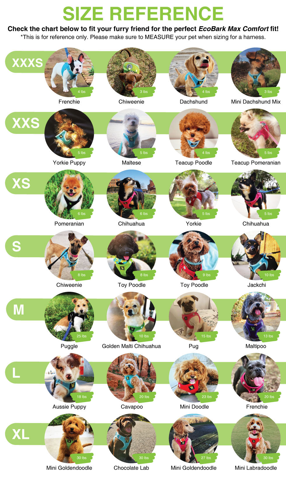 EcoBark dog harness size reference chart showing visual examples of dog breeds for sizes XXXS through Small breed dogs. It features examples like Yorkies, Chihuahuas, min dachshundds, Pugs, Pomeranians, and toy poodles to help customers find the perfect fit for their pet