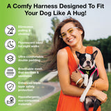 A woman smiling and holding a Boston Terrier wearing a black and pink EcoBark mesh step-in dog harness. Text highlights the harness benefits: eliminates pulling and choking, fluorescent band for night walks, ultra-comfortable double padding, breathable mesh, triple layer safety, and hypoallergenic eco-friendly materials.