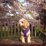 EcoBark Pet Supplies