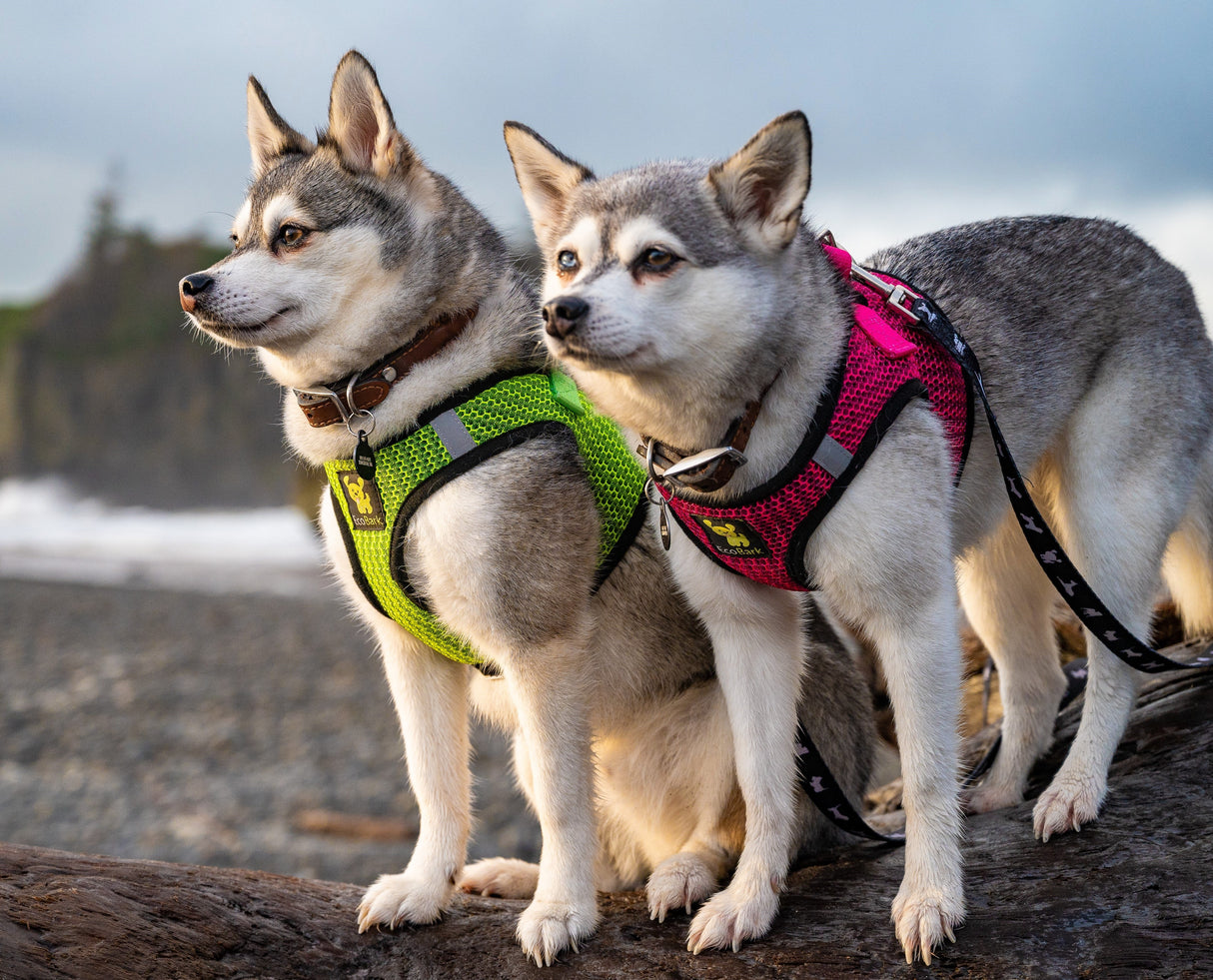 EcoBark Pet Supplies