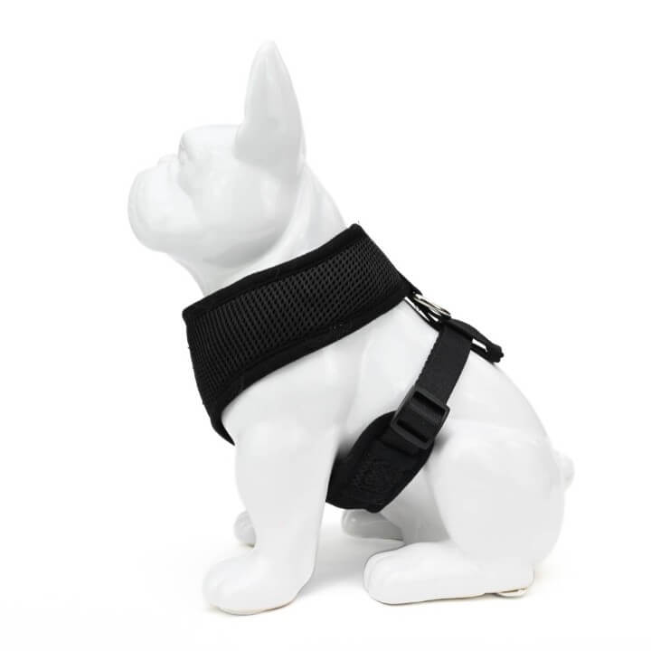 Top paw clearance new fit harness